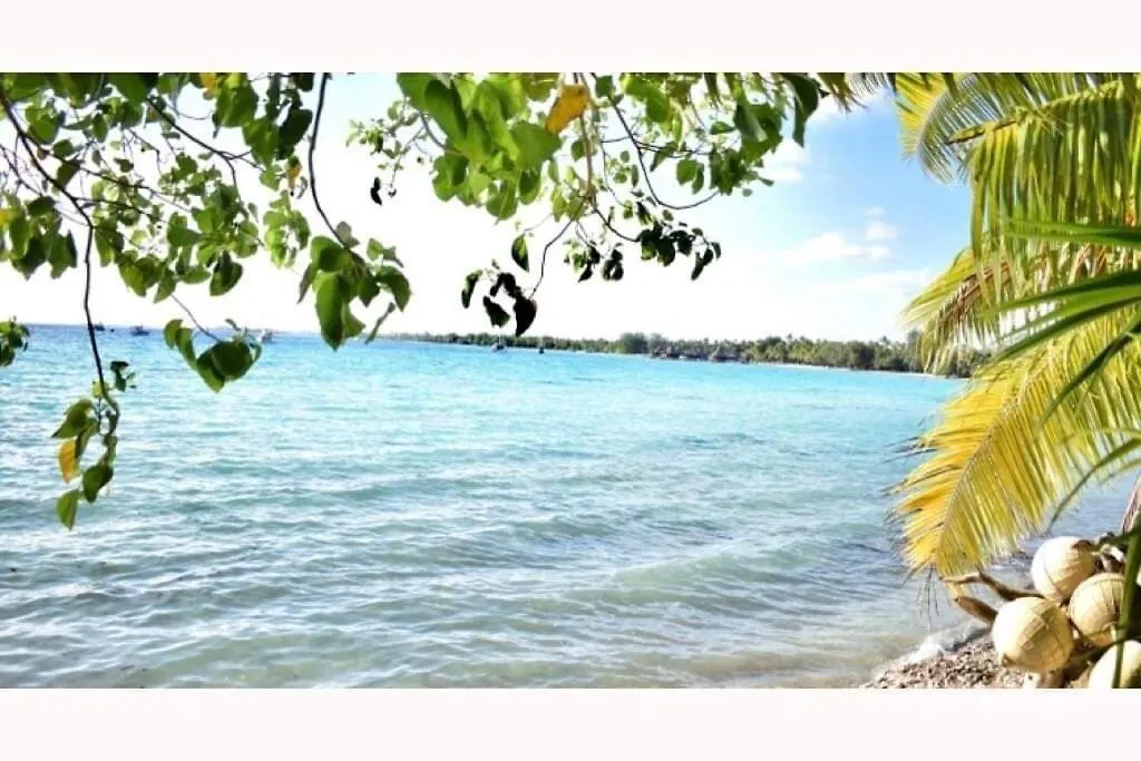 Chez Simone - Maison Bord De Mer Rangiroa
